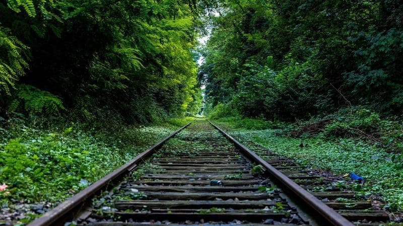 CAC vs LTV: The Startup Ratio That Makes or Breaks You
