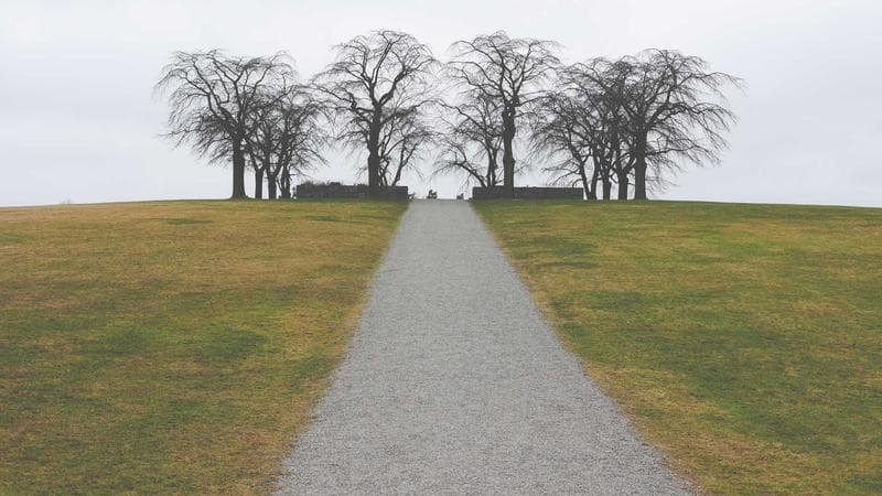Unit Economics for Startups: The Series A Framework